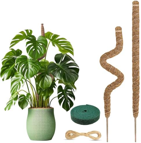 2 Stück Monstera Rankhilfe, Pflanzstab Kokos Moosstab, Biegsame Moosstäbe für Pflanzen, Monstera Stab mit Zubehör, Moosstab-Set für Kletterpflanzen Pflanzenstütze (60cm)