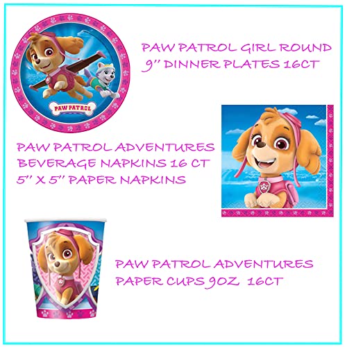 Paw Patrol Skye Girls Birthday Party Supplies And Decoration For 16: Banner, Plates, Cups, Napkins, Candle, Tablecover, Balloons, Loot Bags, (Hh-22) #TOP1