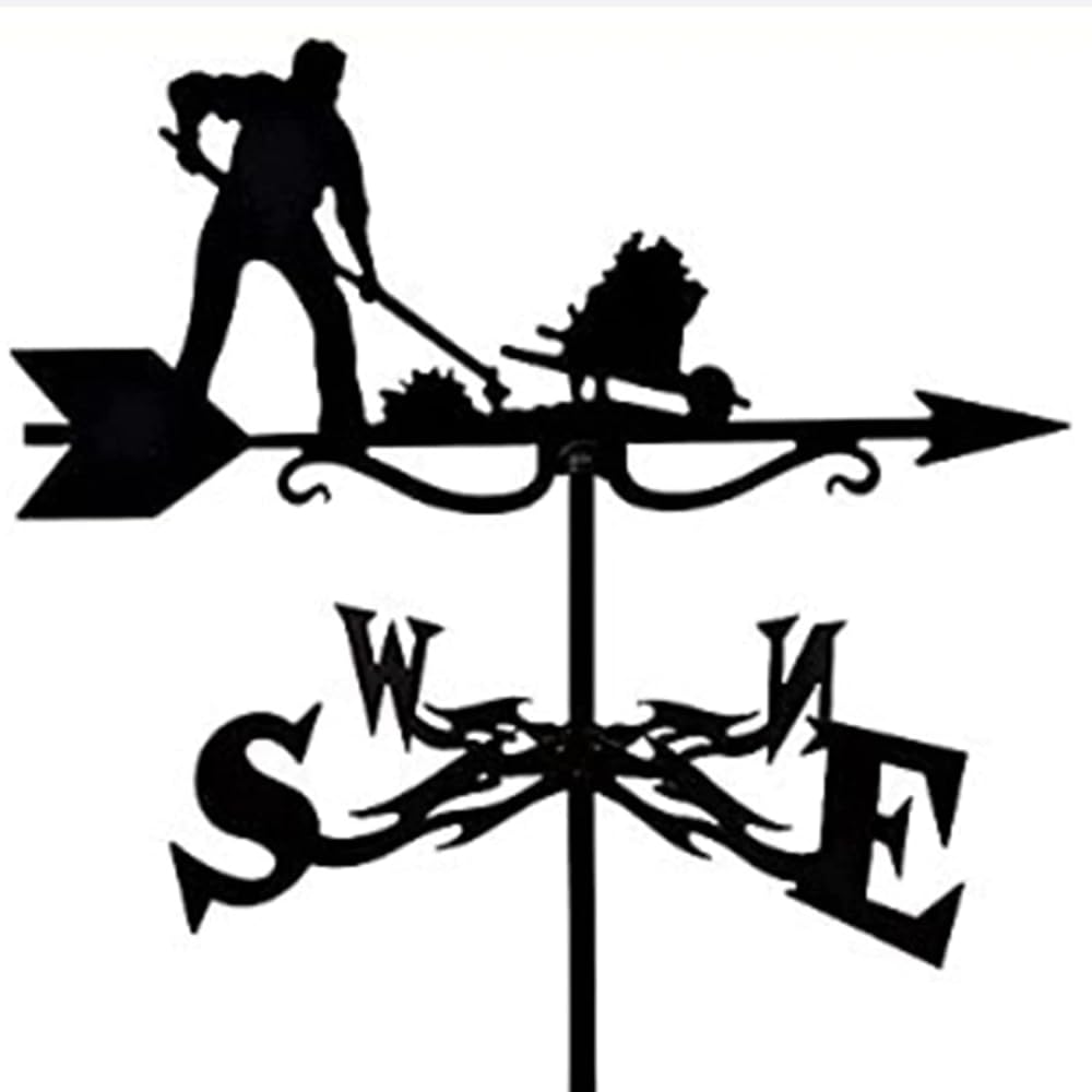 TAXXII Metal Wind Vane for Yard, Vintage Weathervane Direction Indicators Outdoor Garden Roof Paddock Decoration