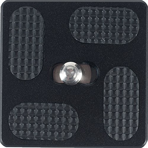 QAL Fotopro FPH - 40 für Platine 52Q/M5-Mini, Schwarz Cover