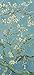 Bilderdepot24 Vincent Van Gogh Sticker de porte en une seule pièce Motif fleurs d'amande 90 x 200 cm