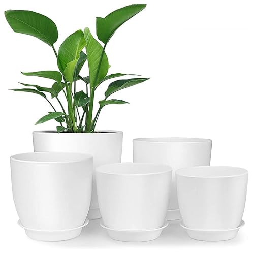 5 Pcs Plant Pots, 7/6/5.5/4.8/4.5 Inch Plastic Planters with Drainage Holes and Saucers for All House Plants and Flowers, Modern Planting Pot for Snake Plant, Aloe, Cactus, Succulents