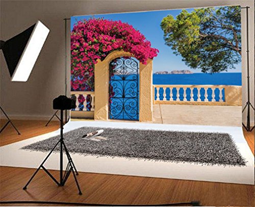 Fond décor de studio fleurs rouges pour sublimer vos portraits enfants et vidéos de fête