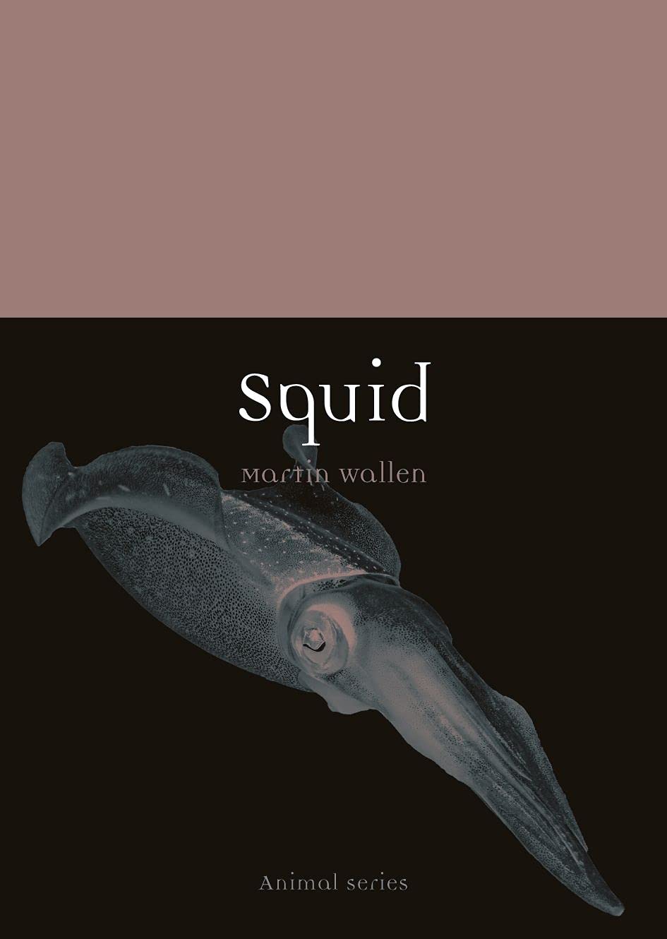 Squid by Martin Wallen (2021, Trade Paperback)