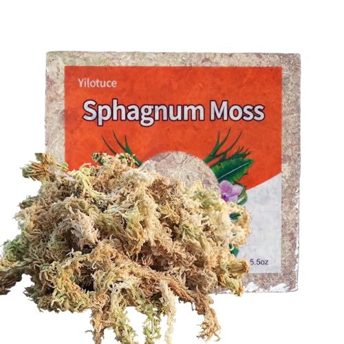 Yilotuce 155g Sphagnum Moos für Pflanzen, Premium Komprimiert Sphagnum Moos für Orchideen