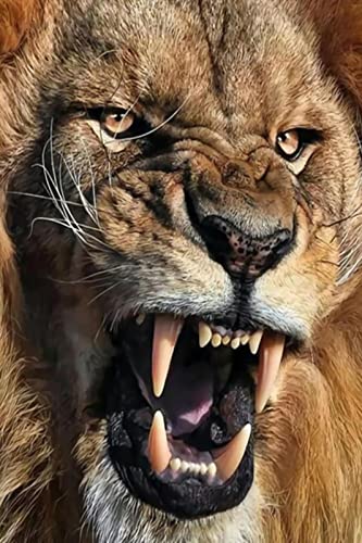 Kit Point de Croix Couture Lion Motif Fleurs Loisir Créatif 40x50