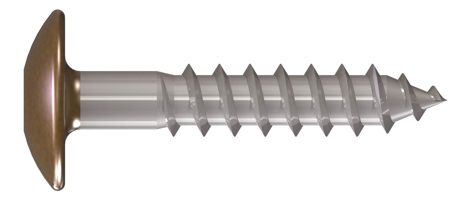 FPS Fassadenplattenschraube Liko TX incl.Bit A4 5,5x45 Lehmbraun kopfl. - 100 Stk