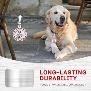   Service-Dog-Tag-Service-Dog-ID-Tag-Engraved-Stainless-Steel-Enameled-Regular-Emotional-Support-Dog-Animal-Tags-for-Large-Dogs-Cats-Collars-Vests-Harnesses-Essential-Name-Badge