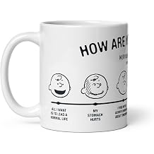 Peanuts Charlie Brown How Are You Feeling Mug - Officially Licensed - 11 oz