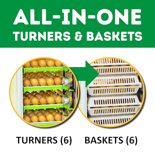 CT180SH Egg Incubator for Hatching 180 Eggs – Automatic Egg Turning & Humidity Control Cabinet | Large Chicken Incubator & Quail Incubator by Hatching Time