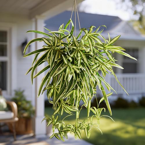 Yarmare 2 Pcs Artificial Spider Hanging Plant Artificial Bracketplant Chlorophytum
