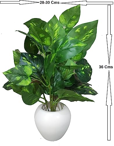 Image of Natural Looking Artificial Money Plant /Tree with Pot | Ornamental Plant for Interior Decor | Home /Shop /Office Decor (Multicolour)