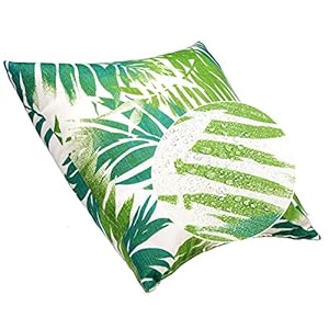 Jmgbirdoutdoorpillowssetof2outdoorthrowpillowswaterproofwithinsert1818inchoutdoorpillowforpatiofurniture Urban Country Home Decor Jmgbird outdoor pillows set of 2 outdoor throw pillows waterproof with insert 1818 inch outdoor pillow for patio furniture urban country home decor