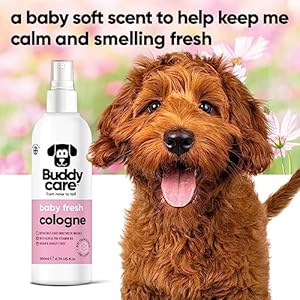 Dogcolognebabyfresh200mldelicateandpowderyscenteddogcolognerefreshesbetweendogwashes  Urban Country Home Decor Dog cologne baby fresh 200ml delicate and powdery scented dog cologne refreshes between dog washes  urban country home decor