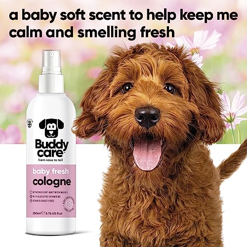 Dogcolognebabyfresh200mldelicateandpowderyscenteddogcolognerefreshesbetweendogwashes  Urban Country Home Decor Dog cologne baby fresh 200ml delicate and powdery scented dog cologne refreshes between dog washes  urban country home decor