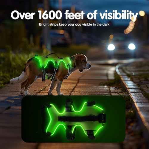 Jewyow Hundegeschirr Leuchtend, Wiederaufladbare LED Hundegeschirr, Led Geschirr für Hunde mit Weicher Griff, 3 Einstellbare Modus, Wasserdicht für Mittelgroße, Große Hund, Green-L