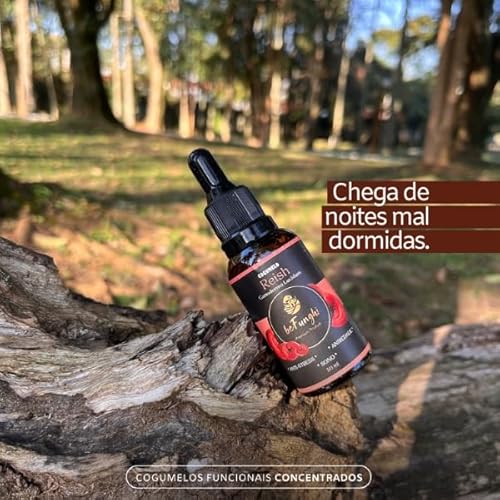 Kit 3 Extratos Cogumelos Funcionais - Reishi, Juba de Leão, Cordyceps 60ml