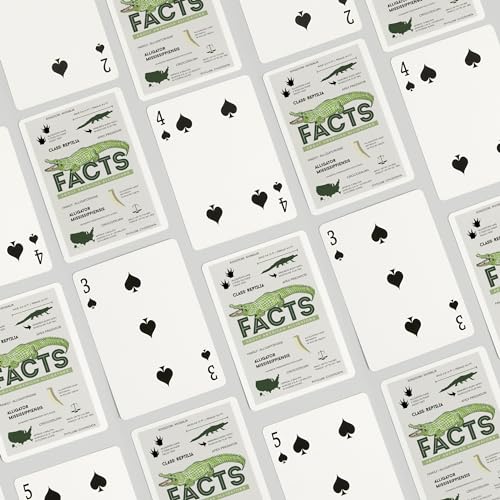 Lantern Press NAIPE Poker Facts About American Alligators miniatura 4