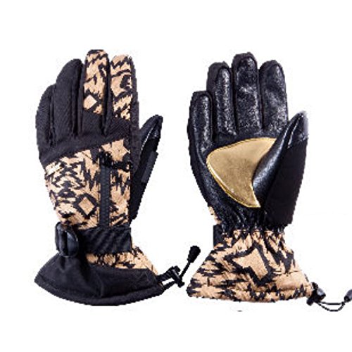 Amazon.co.jp: 【CELTEK】セルテック 2014-2015 STELLA レディース