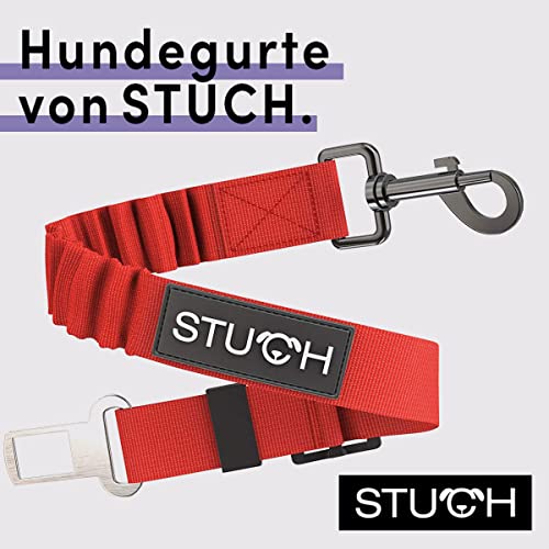 STUCH Universeller Bungee Sicherheitsgurt für Hunde & Katzen - Passend für alle Hunderassen & Autotypen (Farbe Rot) OneSize