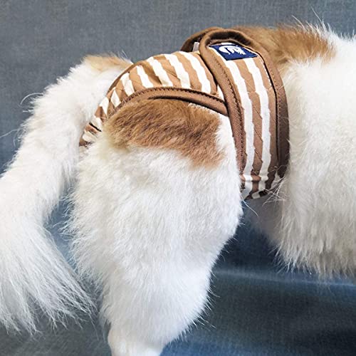 NAMSAN Hunde Windeln 3 Stück Waschbare Schutzhose für Hündinnen Einstellbare Hunde Höschen für Urin Inkontinenz/Untrainierte Welpen/Läufigkeit Hündin - XXL