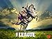 The League Season 6