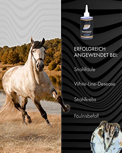 Foto von HOOFGOLD BlueStuff – Hochwirksames Strahlmittel gegen Strahlfäule & White Line Disease beim Pferd – Soforthilfe bei stinkenden, weichen Hufen – ADMR-konform – 100 ml