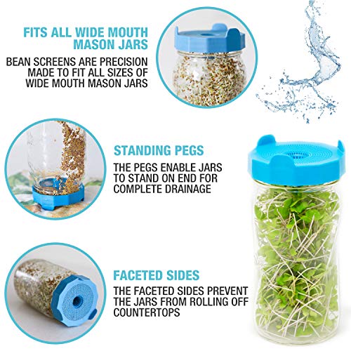 Masontops Complete Bean Sprouting Kit - 2 Mason Jars, 2 Bean Screen Sprouting Lids & 2 Sprout Seed Mixes - Wide Mouth - Thumbnail 3