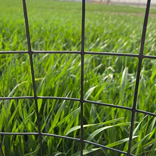 HDYZJQ Drahtgitter Maschendraht Gartenzaun Hasendraht Grün Hardware-Tuch für Gemüse/Hühnerställe/Kaninchen… – Bild 6