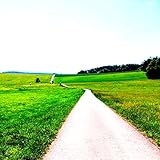 Photo Gallery plogging electronic music