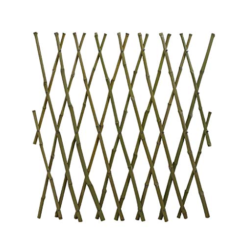 Bambuszaun Garten Qualität verstellbare Gitter dekorativen Zaun Weiß...