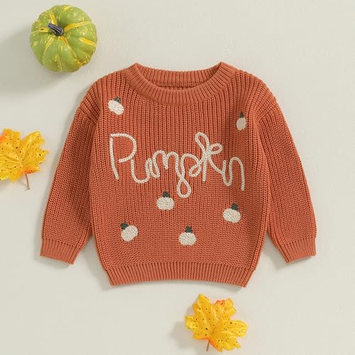 Toddler Baby Halloween Sweater Long Sleeve Crew Neck Pumpkin Embroidery Pullover Sweater Fall Winter Knitwear2