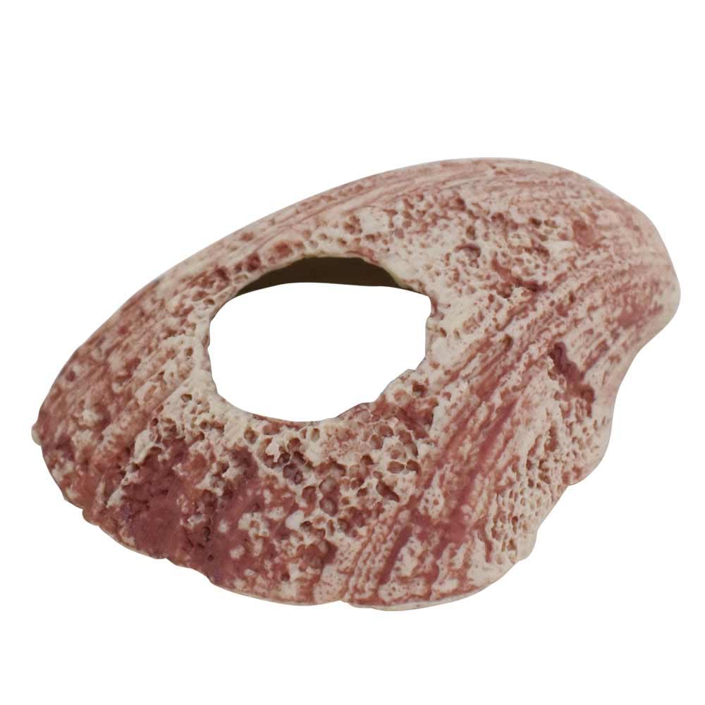 Nobby Aqua Ornaments Shell 10.8 x 12.5 x 5 cm