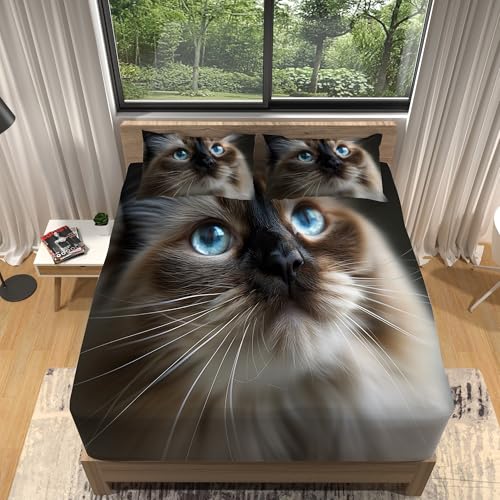 Sábanas Ajustables 90 x 190 cm Sábanas Estampadas Estampado Animal De Gato Ragdoll Sábana Ajustable con Bolsillo Extra Profundo de 30 cm Marrón Sábana Ajustable de Microfibra Premium