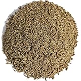アメ横 大津屋 クミンシード 原形 業務用 おうちカレー クミン ハーブ ティー ポプリ 種 ジーラ jeera cumin 馬芹 (100g)