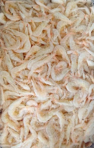 冷凍 白海老釜揚げ 1kg×12箱 冷凍 業務用