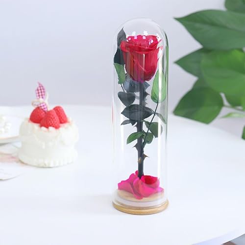 YNWYH 9.8 inches Preserved Rose in Glass Dome Rose with Green Leaves Eternal Love and Natural Beauty for Grandma Mom Girlfriend Classmate Friend Lover (Red)