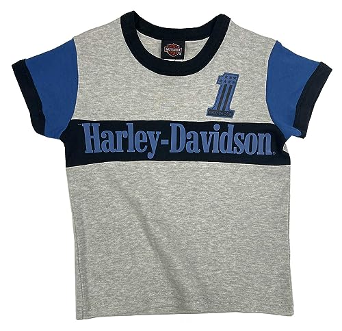 Harley-Davidson Big Boys' Colorblocked Short Sleeve Knit Tee - Gray/Blue