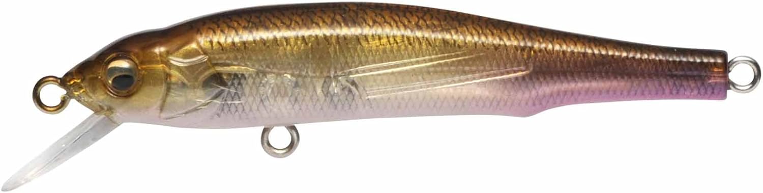 Amazon メガバス Megabass ルアー X70 Sp 05gg メガバスキンクロ メガバス Megabass ルアー Amazon メガバス Megabass ルアー X70 Sp 05gg メガバスキンクロ メガバス Megabass ルアー