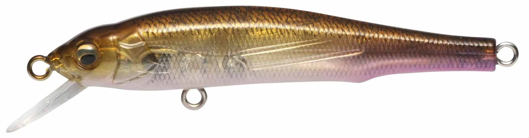 Amazon.co.jp: メガバス(Megabass) ルアー X-70 (SP) GP ワカサキ゛