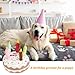 Anseom 2 Stück Hund Geburtstag Spielzeug Set, Dauerhaft Hunde Geburtstags Plüschtier Hundetorte Geburtstag für Hunde Weich und Bequem Quietschend Geburtstagsgeschenke