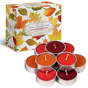 Scented Tealight Candles Gift Set - 64 pcs - Scented Tea Lights Candles - 4 Fragrances - Apple Cinnamon, Pumpkin Spice, Orange Clove, Autumn Leaves - Tea Light Candle Gift Sets Scented Tealight Candles Gift Set 64 pcs Scented Tea Lights Candles 4 Fragrances Apple Cinnamon Pumpkin Spice Orange Clove Autumn Leaves Tea Light Candle Gift Sets