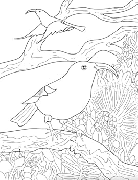 Perfect Paperback Hawaiian Wildlife Educational Coloring Book (English/Olelo) Book