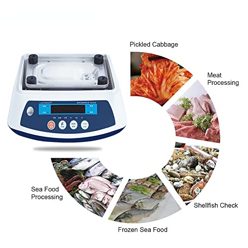 Báscula electrónica automática precisión 7.5kg 1g miniatura 3