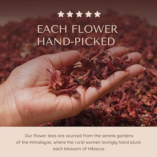 Image of Sukoon, Hibiscus Tea Organic - 100 Tea Bags (2g each) - Sweet & Tart - Contains only Dried Hibiscus Flowers loose leaf - flor de jamaica organica natural, herbal tea in plastic free tea bags