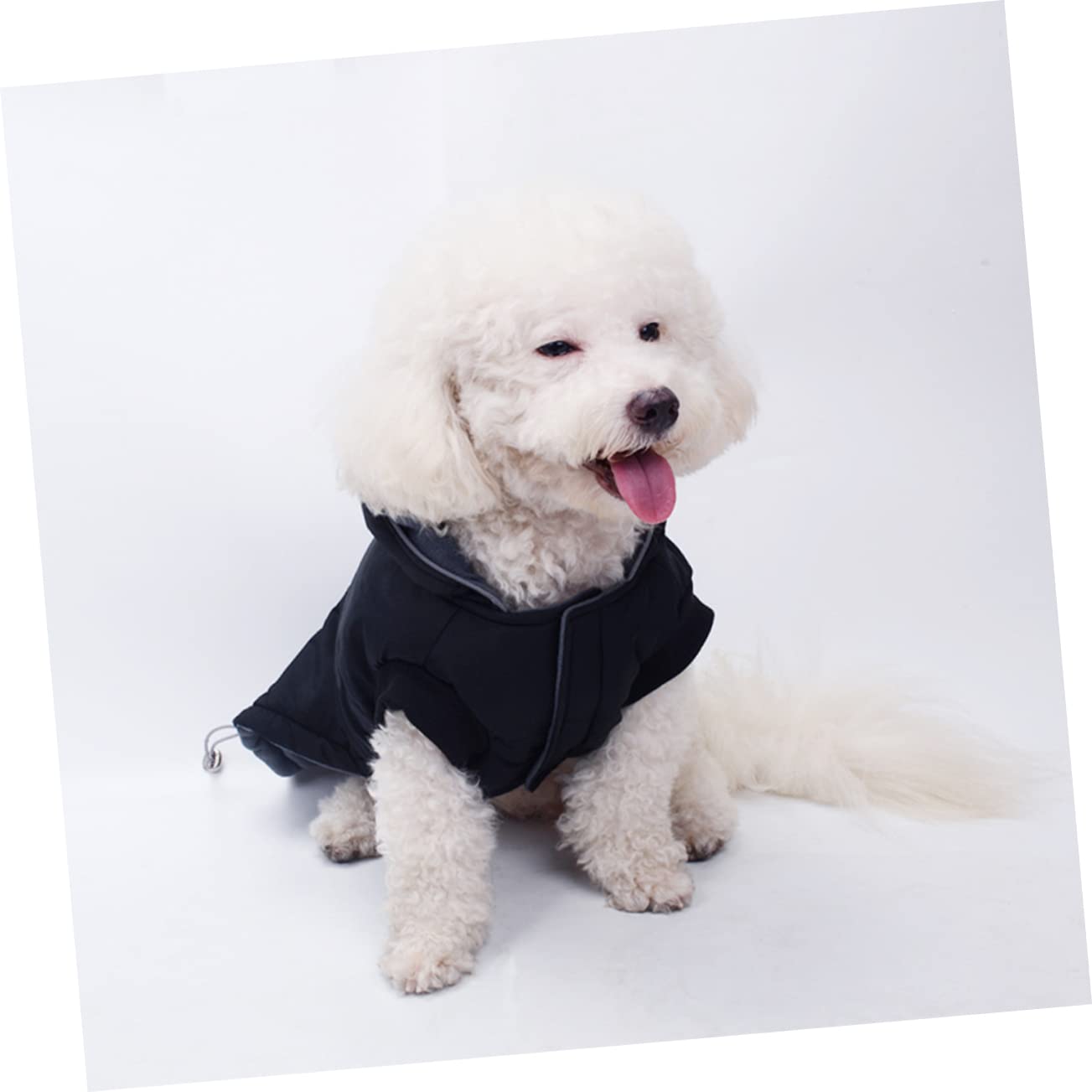 INOOMP 2pièces Gilet Coton Réfléchissant pour Chien Veste Chaude Et Confortable Vêtements Hiver pour Animaux De Compagnie Modèle Noir