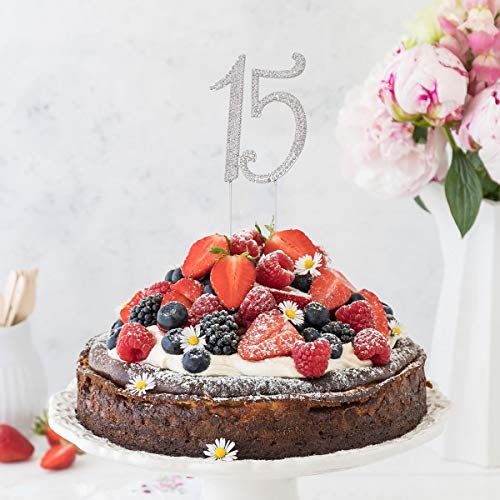 Janou 15 Cake Topper Number 15 Crystal Rhinestones 15Th Cake Decoration For Birthday Anniversary Party Decoration (Silver) #TOP6