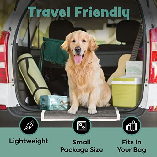 Image of Disposable Puppy Pads Potty Training - 25 Activated Charcoal Pee Pads for Dogs with Attractant - Wee Wee Absorbent, Odor Neutralizer Dog Pads - Five Layered Pet Potty Pads - 23 inch x 23 inch