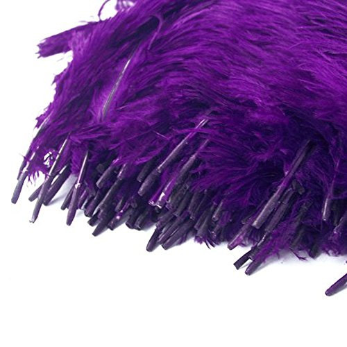 Kolight® 10Pcs Ostrich Feather Purple 12"-14" Natural Feathers Wedding, Party,Home,Hairs Decoration #TOP1