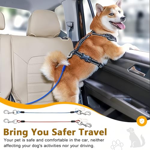 ChAusa 2 Stück Anschnallgurt Hund Auto 80cm Hunde Sicherheitsgurt Hundegurt Auto Hunde Anschnallgurt Auto Bissfeste Hundeleine aus Stahldraht PVC für alle Hunderassen Katzen& Autotypen(Blau+Rot)